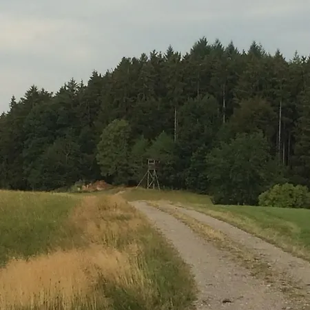 Silberdistel Uehlingen-Birkendorf