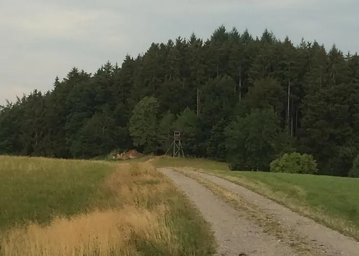 Silberdistel Ühlingen-Birkendorf